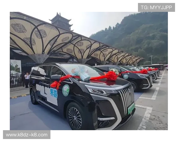 了解ag贵宾厅专区的各种特色服务项目，享受专属定制化体验，提升会员尊崇感与满意度的重要选择