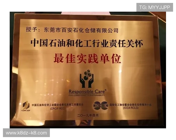 凯时娱乐安全保障措施详解确保玩家资金与信息安全的最佳实践