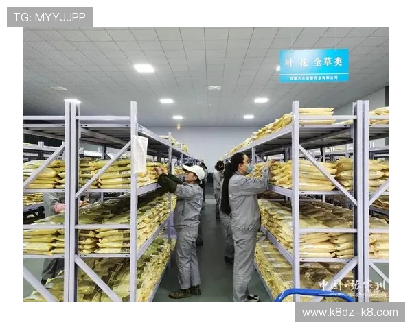 凯发直播中文站技术支持与客户服务体系详解确保用户在使用过程中无后顾之忧