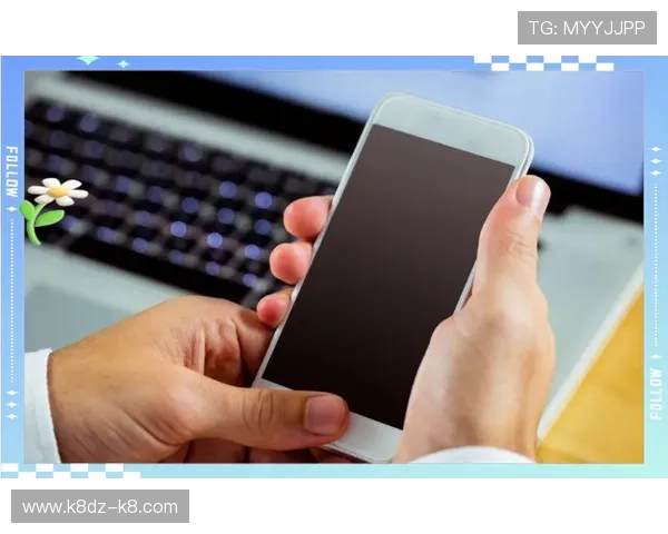 K8凯发体育平台的安全保障措施与用户隐私保护策略全面介绍