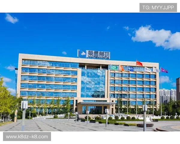 K8.com凯发平台官网的客户服务体系，全天候在线为玩家提供专业帮助