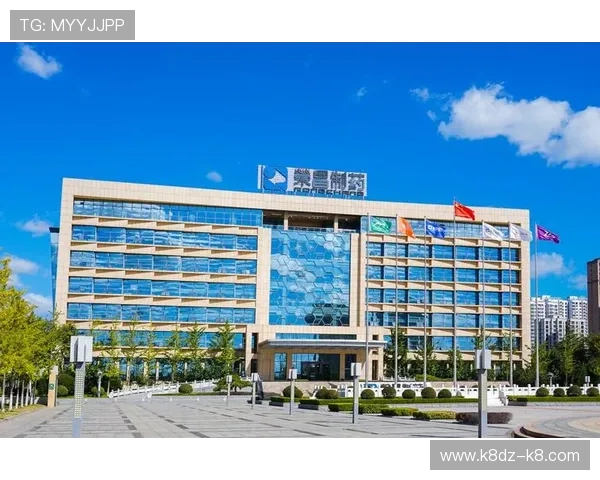 凯发集团会员注册不了的原因分析与解决方案详解